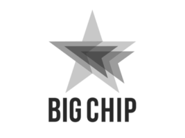 Big Chip Award Winners