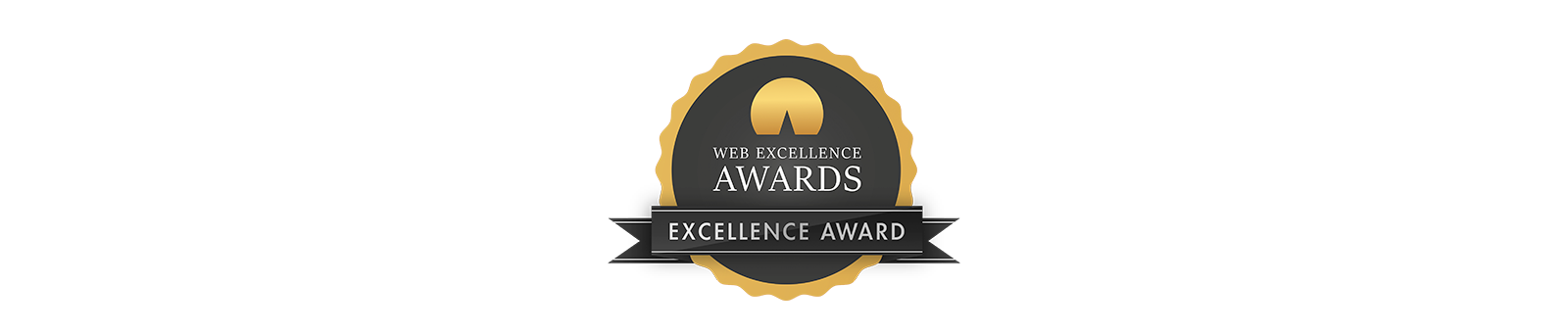 Web excellence award winner
